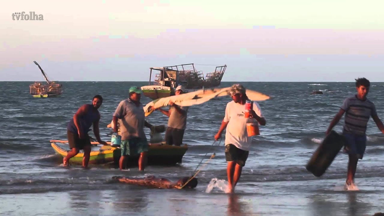 Vila de pescadores no Ceará sobrevive com pesca artesanal de lagosta