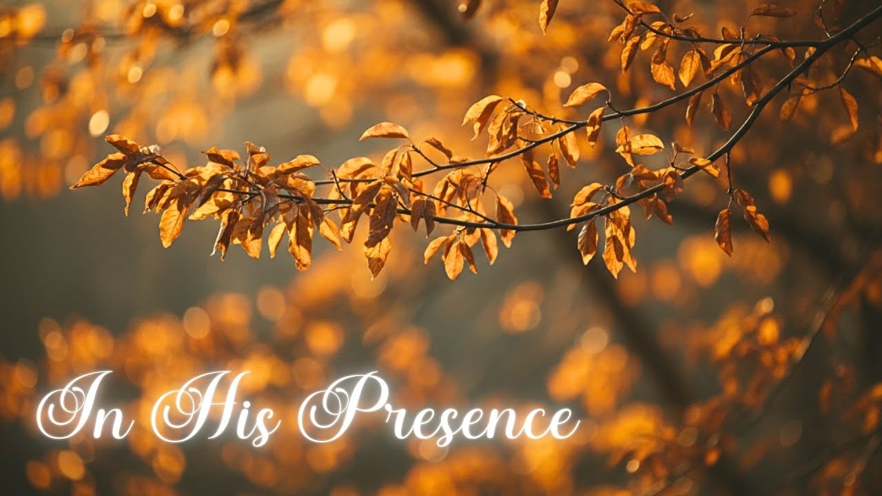 In His Presence | Worship Instrumentals for Meditation, Prayer & Bible Reading