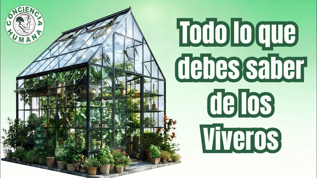 Todo lo que debes saber de los Viveros | Guía Completa para Principiantes.