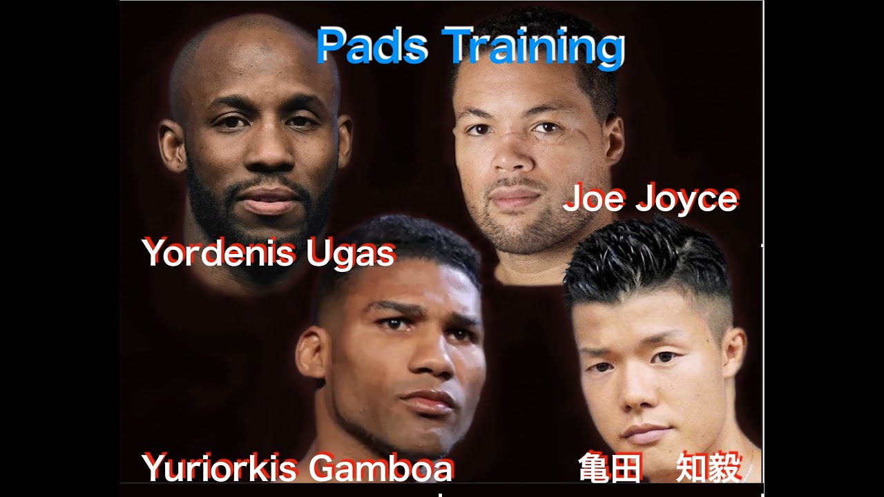 Gamboa,亀田和毅,Joe Joyce, Ugas Pads Work Training「The Boxing Textbook」