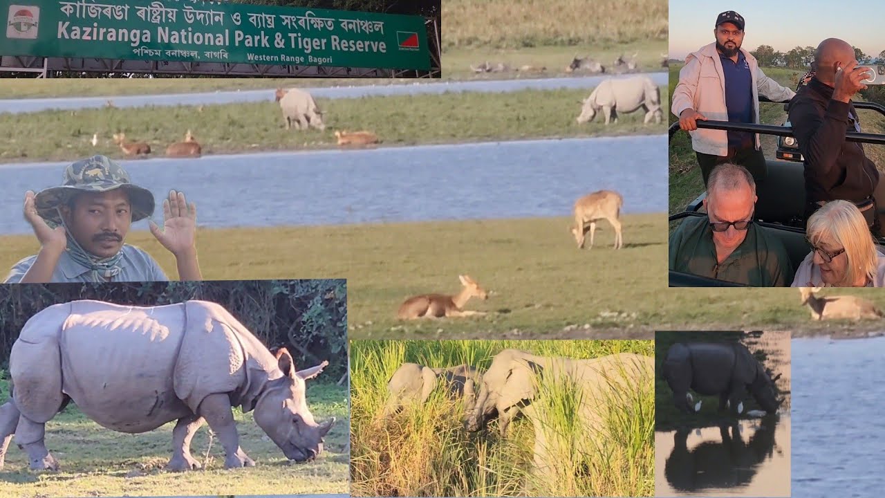 Kaziranga National Park Assam | Protecting Rhinos Documentary | Day 2 Assam | Western Zone.