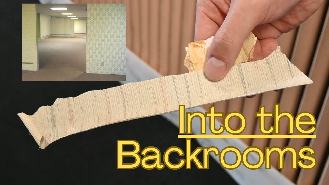 Into the Backrooms: Behind an Internet Mystery