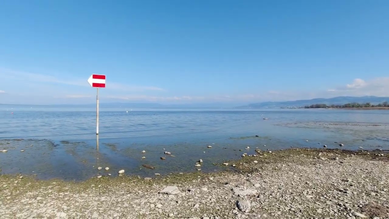 Egnach 2025 - Niedriger Wasserstand am Bodensee