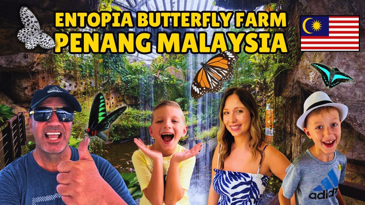This Butterfly Garden in Penang Surprised Us! 🦋 Entopia Butterfly Farm