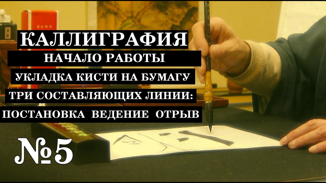 №5 