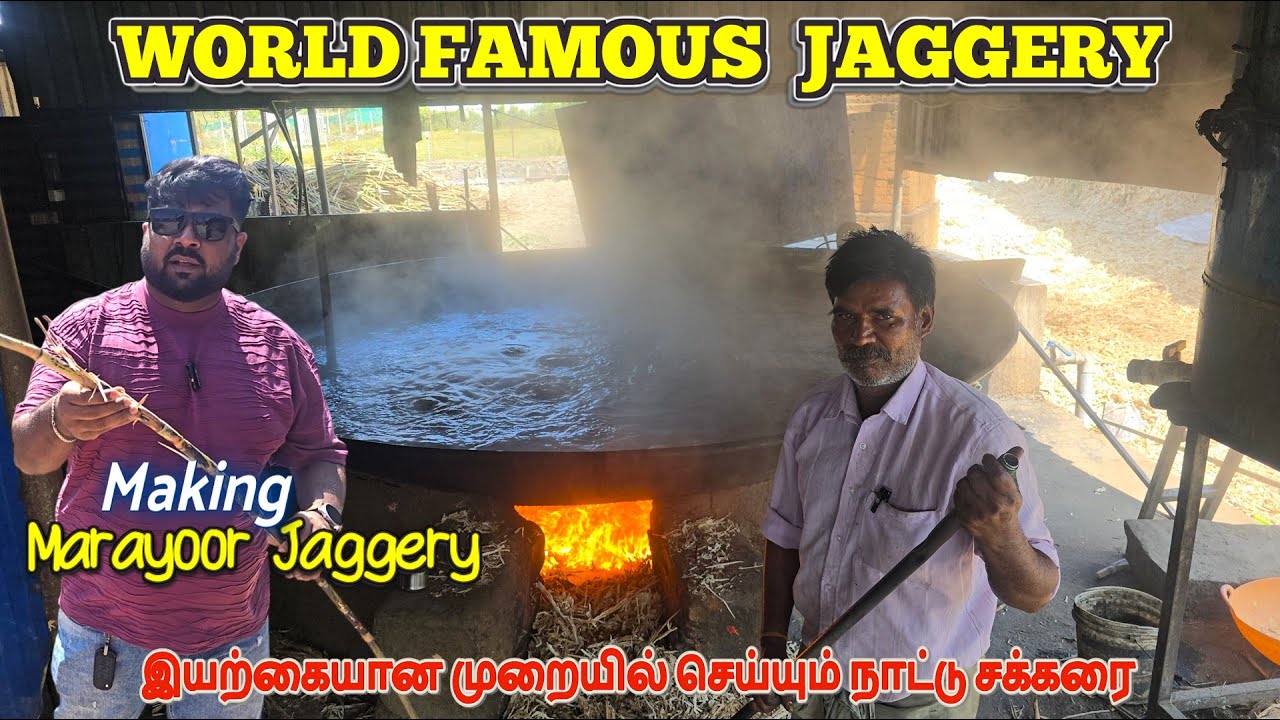 உலகமுழுவதும் செல்லும் மறையூர் சர்க்கரை 🍬Jaggery Manufacturing _LIVE  #kanthalloor Tourist Places