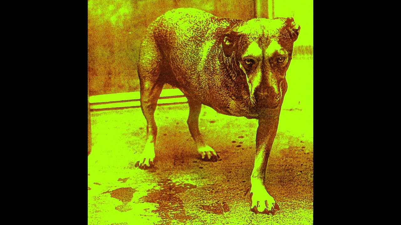 Nothin' Song - Isolated Vocals - Alice in Chains