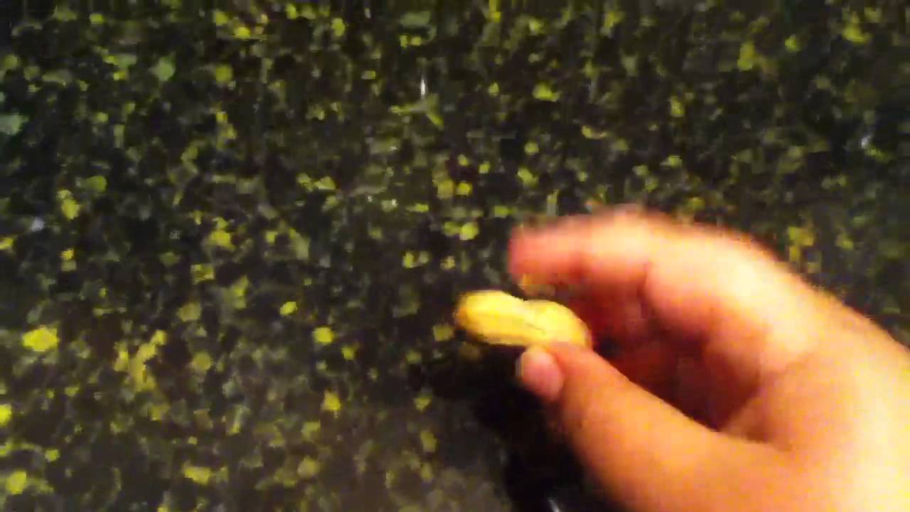 How to open a peanut.