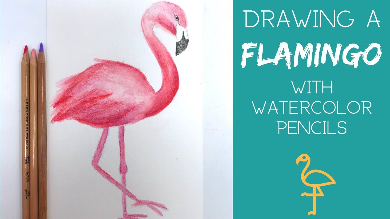 How to Draw a Flamingo with Watercolor Pencils | Flamingo Illustration