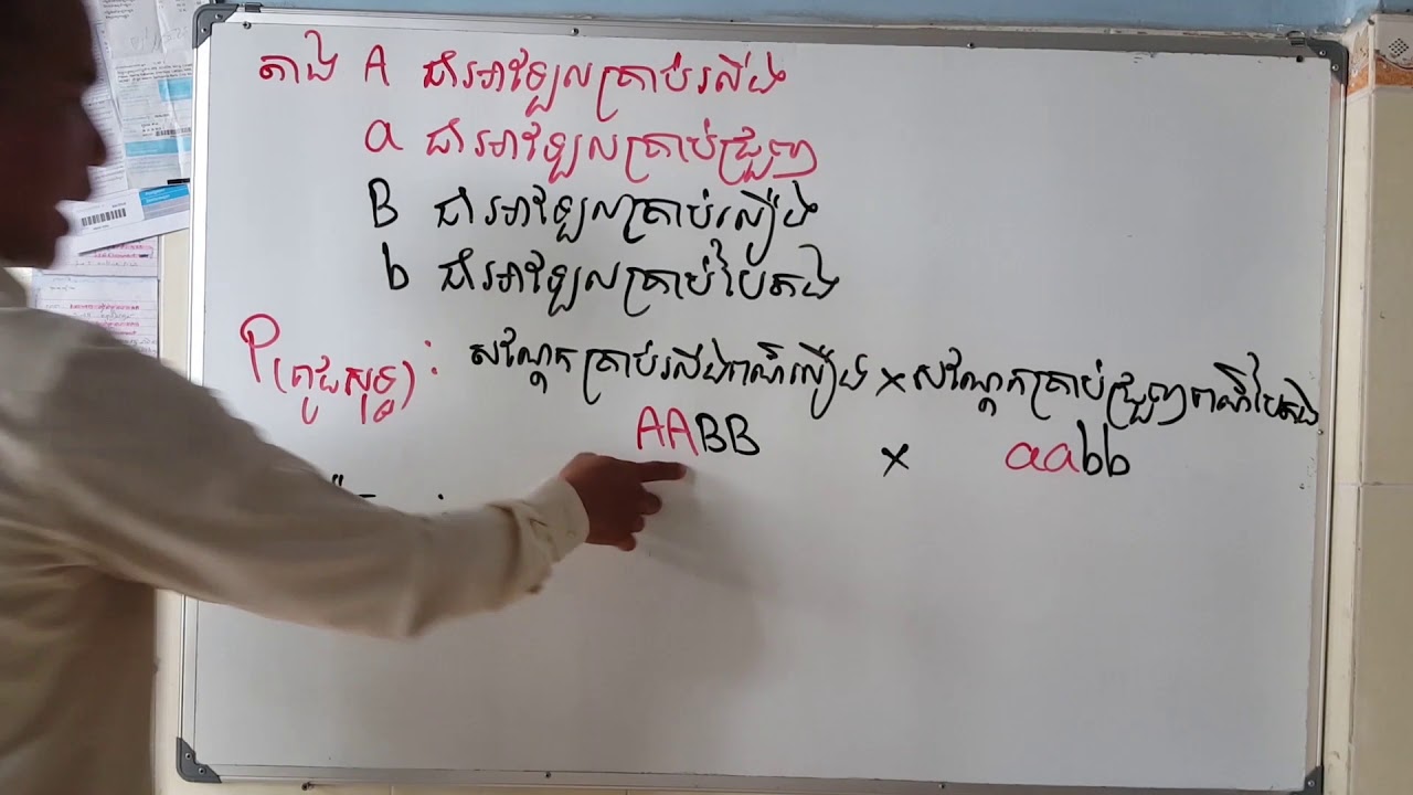 ជីវទី១១ ឌីអ៊ីប្រ៊ីឌីស ពន្យល់បន្ថែម