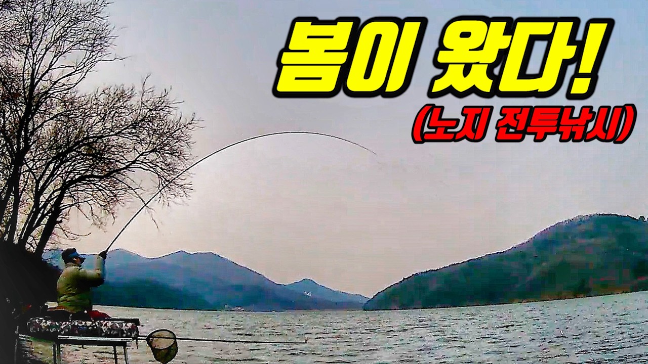 [노지 전투낚시] 드디어 봄이 왔습니다. 붕어 나옵니다 나와요!!