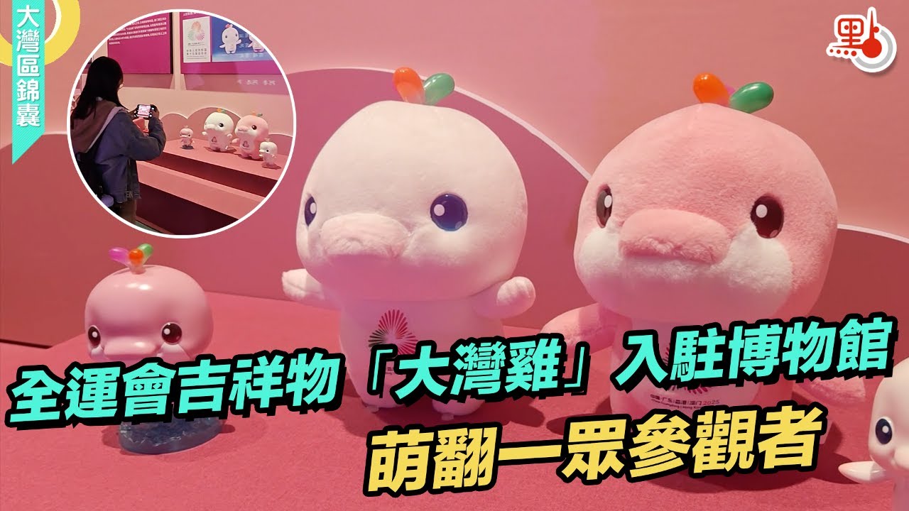 第15屆全運會吉祥物「大灣雞」入駐廣東省博物館！萌翻一眾參觀者 #大灣區 #大灣雞 #廣東  #吉祥物 #十五運會 #潮玩【大灣區錦囊·潮玩】