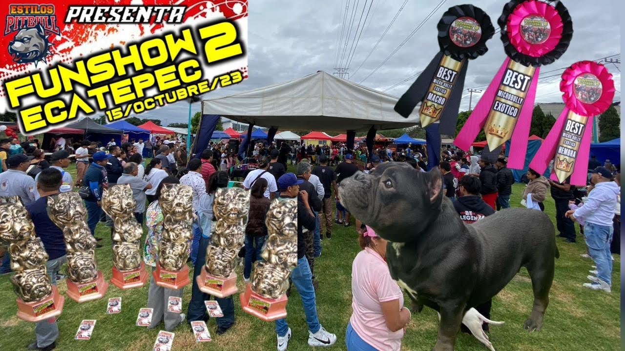 Estilos PITBULL,  gran evento en Ecateponk