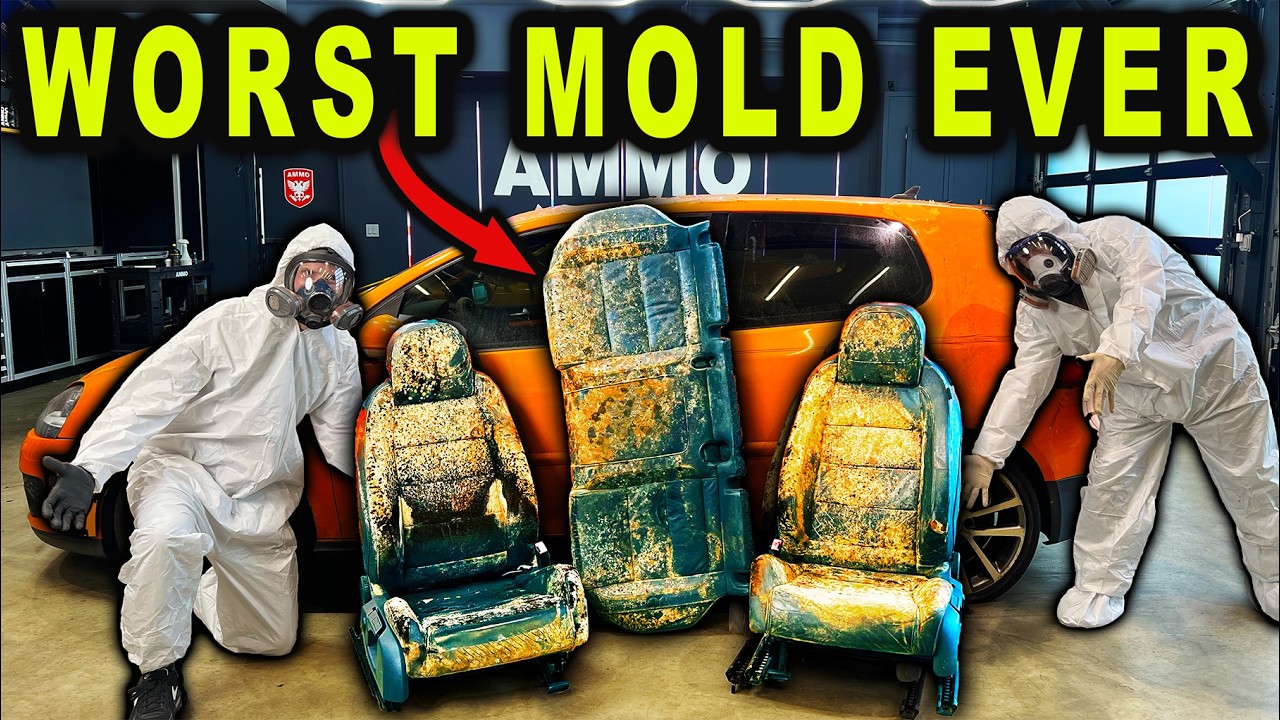 We Detailed A Biohazard Car Covered In Mold