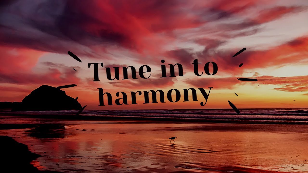 Gentle Waterflow Sounds to Melt Stress Away | 8 hours of Tranquility