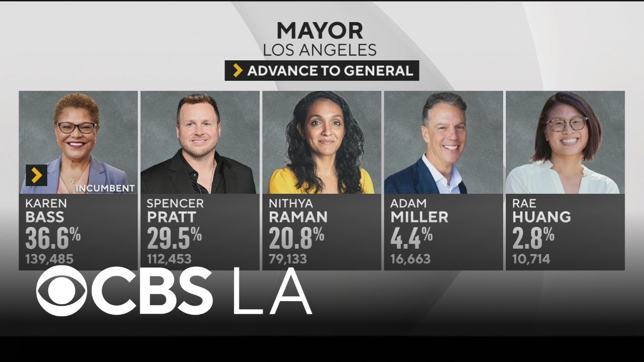 A look at the Election Day results for the California primary