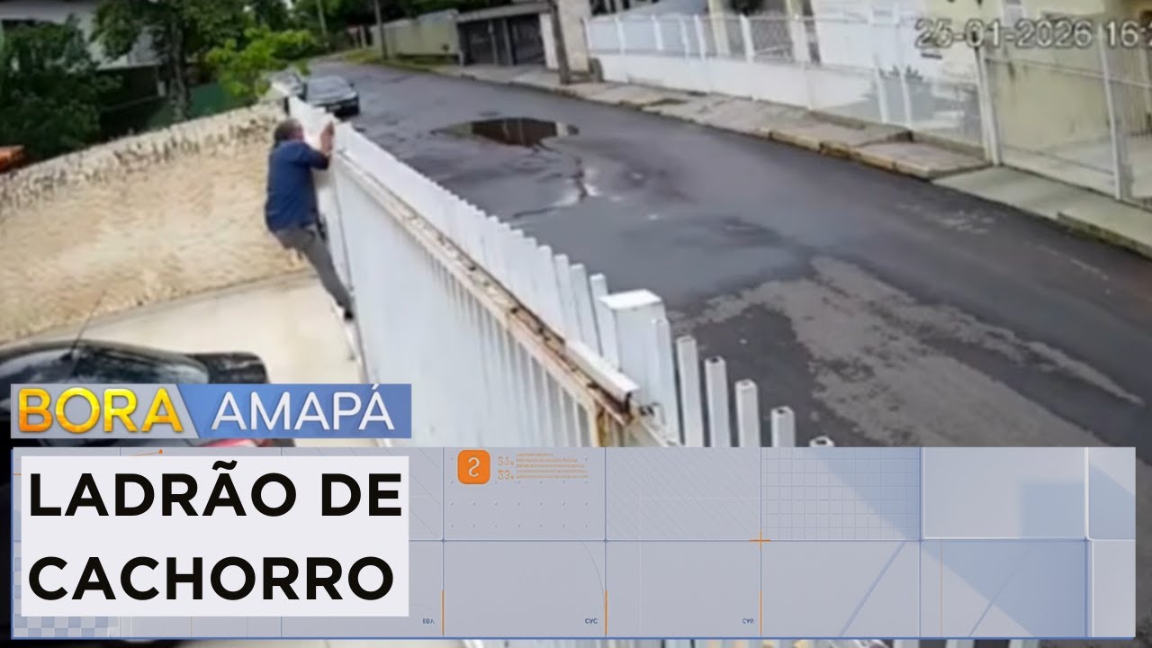 Homem é preso em flagrante após invadir casa para roubar cachorro e vender