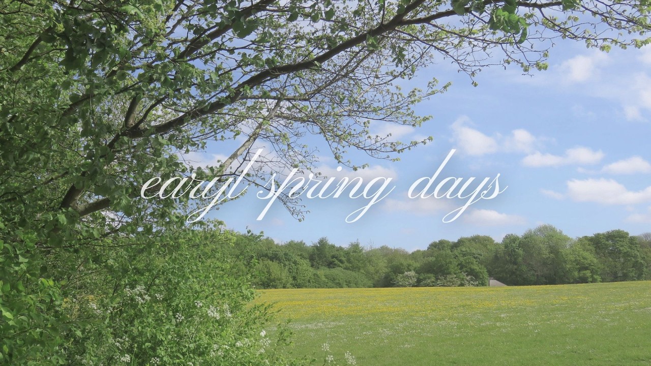 a quiet piano playlist for early spring days 🌱