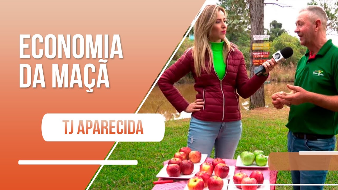 Conheça produção de maçã em Fraiburgo/SC