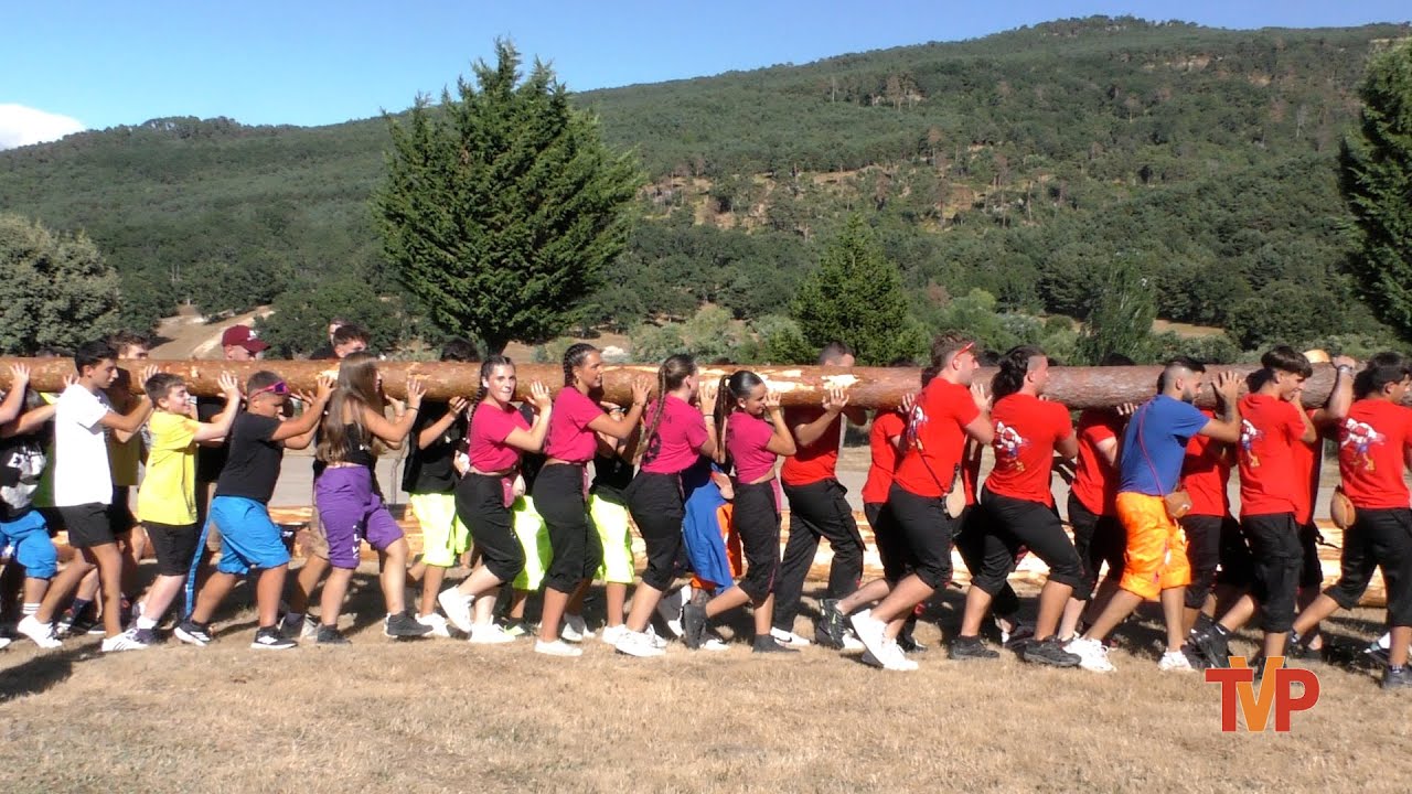 Arrastre, Pingada del Mayo y concurso de Carrozas - Canicosa de la Sierra 2024