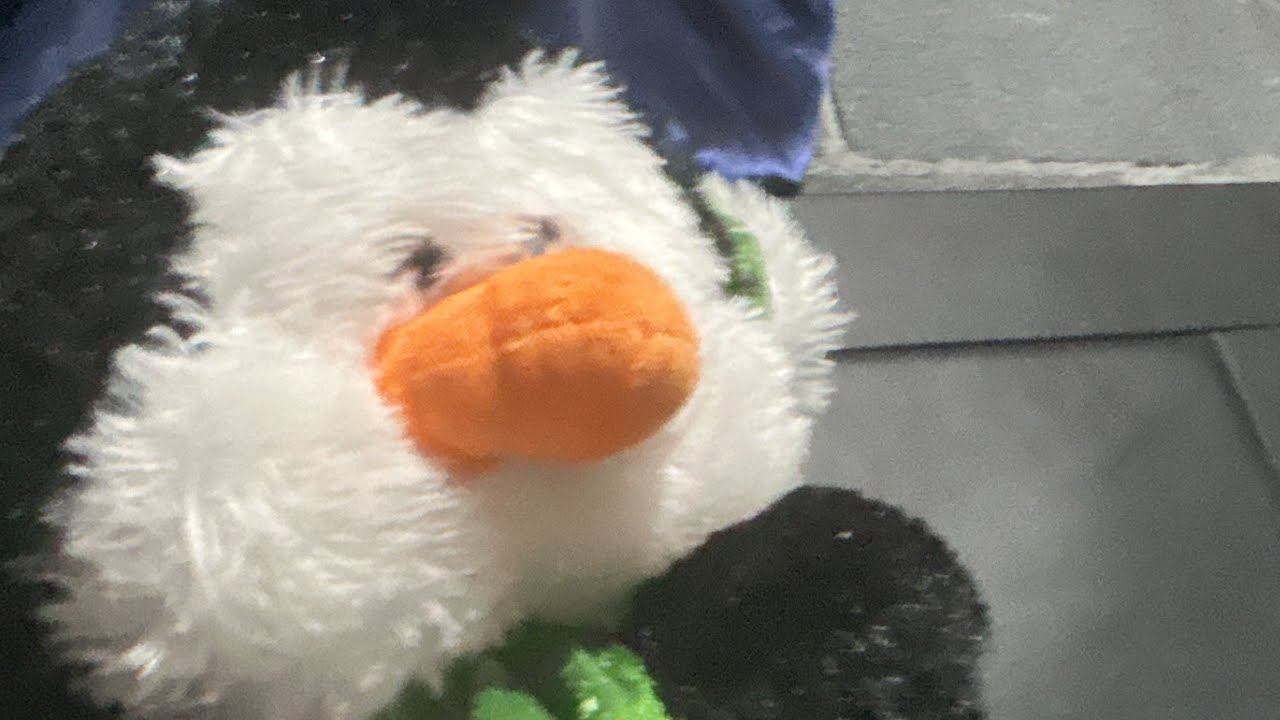  ￼ el pingüino travieso ￼