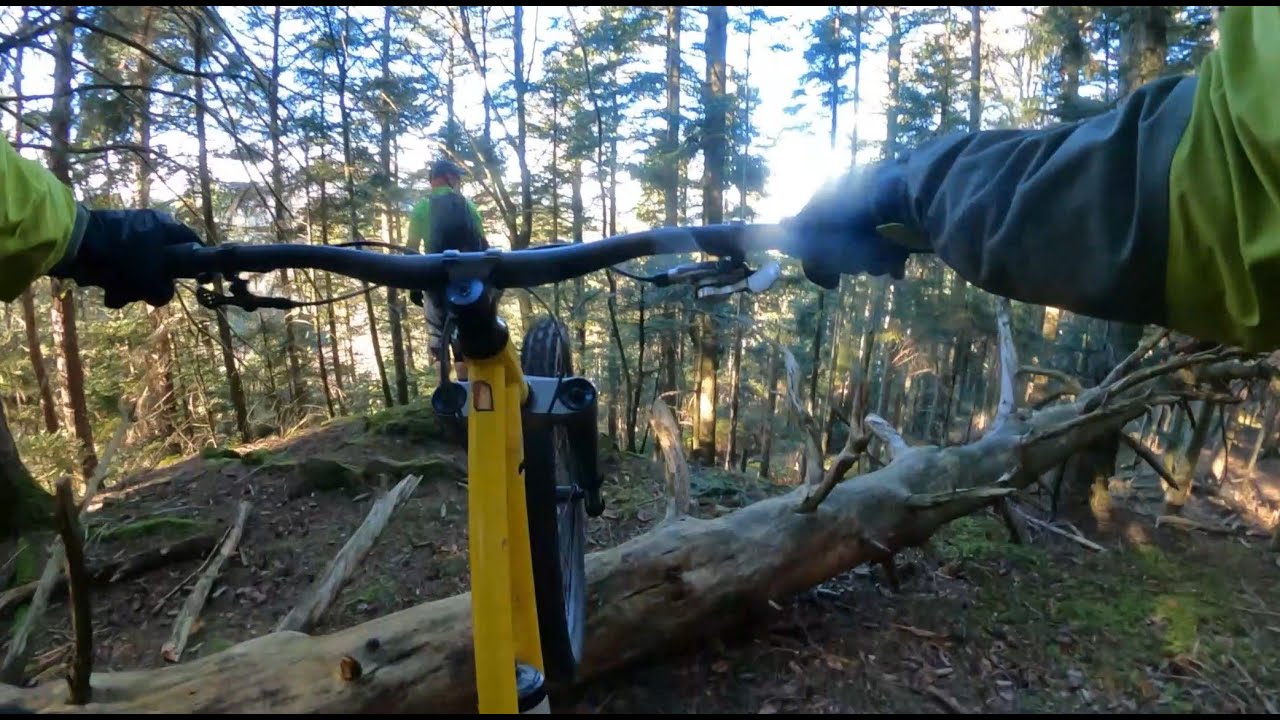 MTB Black Forest / Schwarzwald / 250126