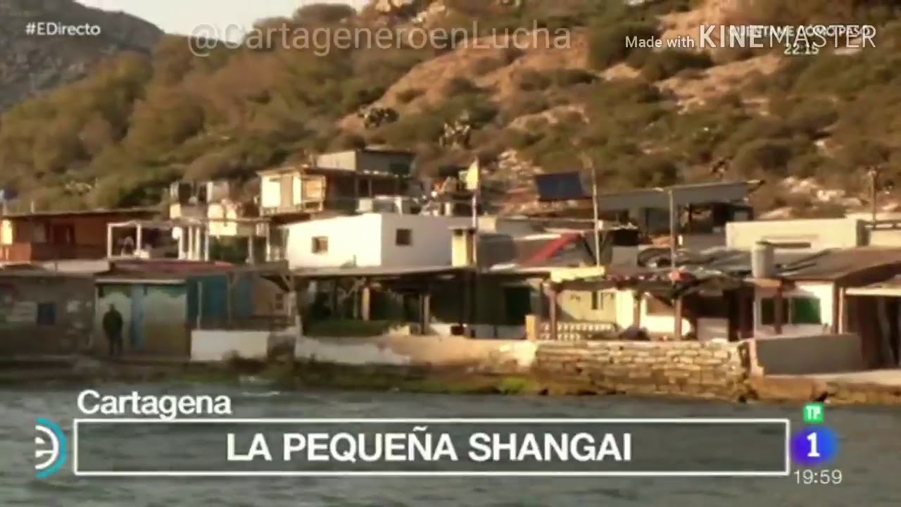 Algameca chica cartagena