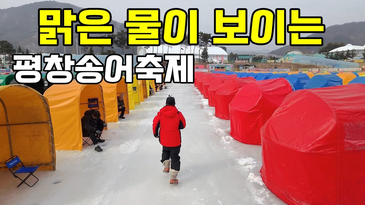 26평창송어축제 텐트터 맑은물 선명하게 잘보인다 #평창송어축제 송어얼음낚시