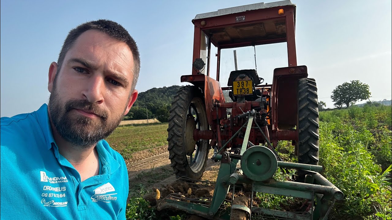 Travail à l’ancienne ! Je soulève les patates nouvelles avec le Renault 651 et la petite souleveuse