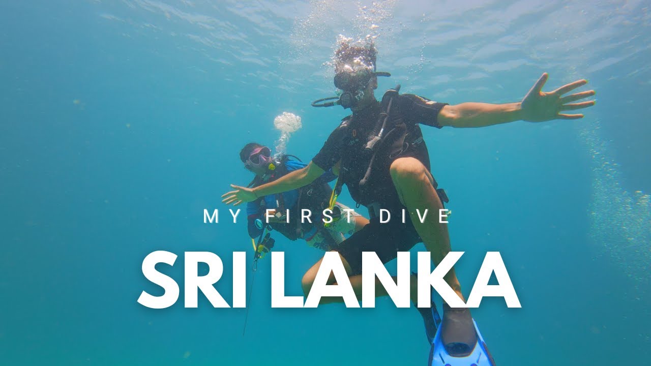 Trincomalee Dives: Best Diving Place in Sri Lanka #srilankatourism #trincomalee #indianexplorers