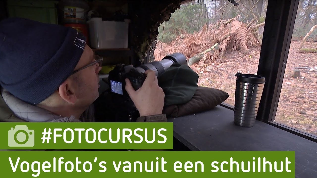 Vogels vastleggen? Verberg je in een schuilhut | #FOTOCURSUS
