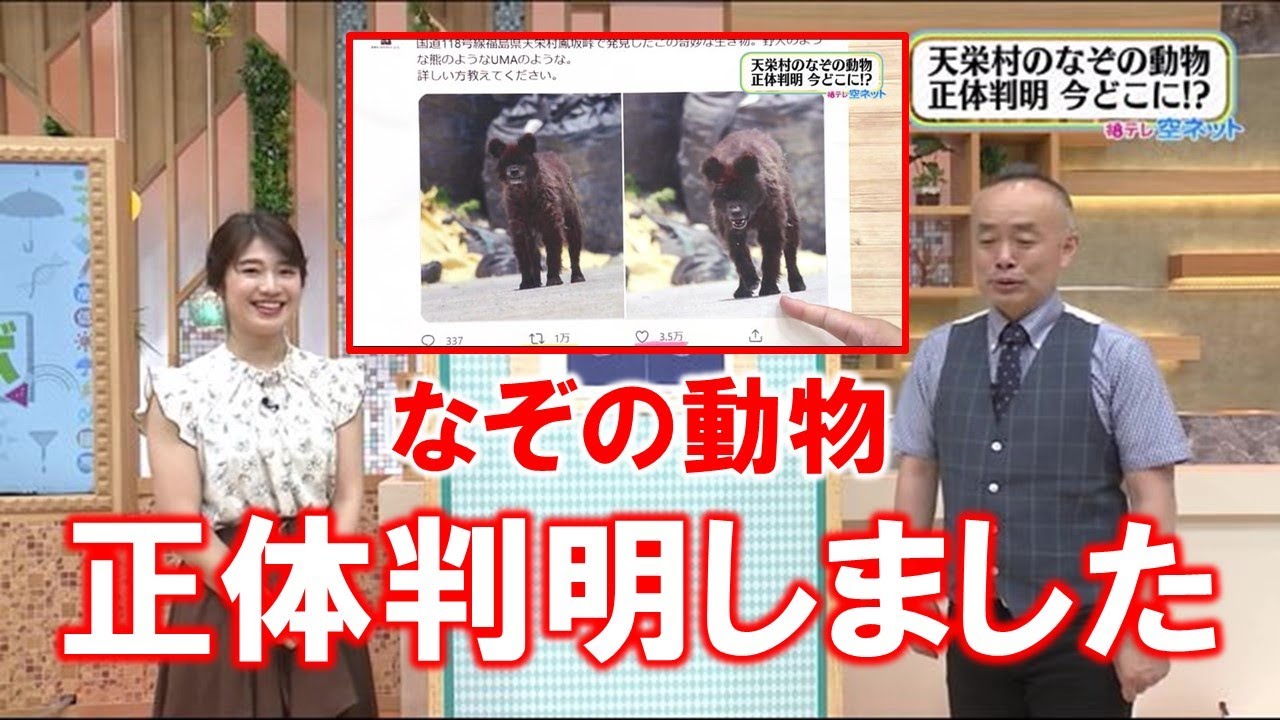【なぞの動物 正体判明しました】空ネット（６月１８日放送）
