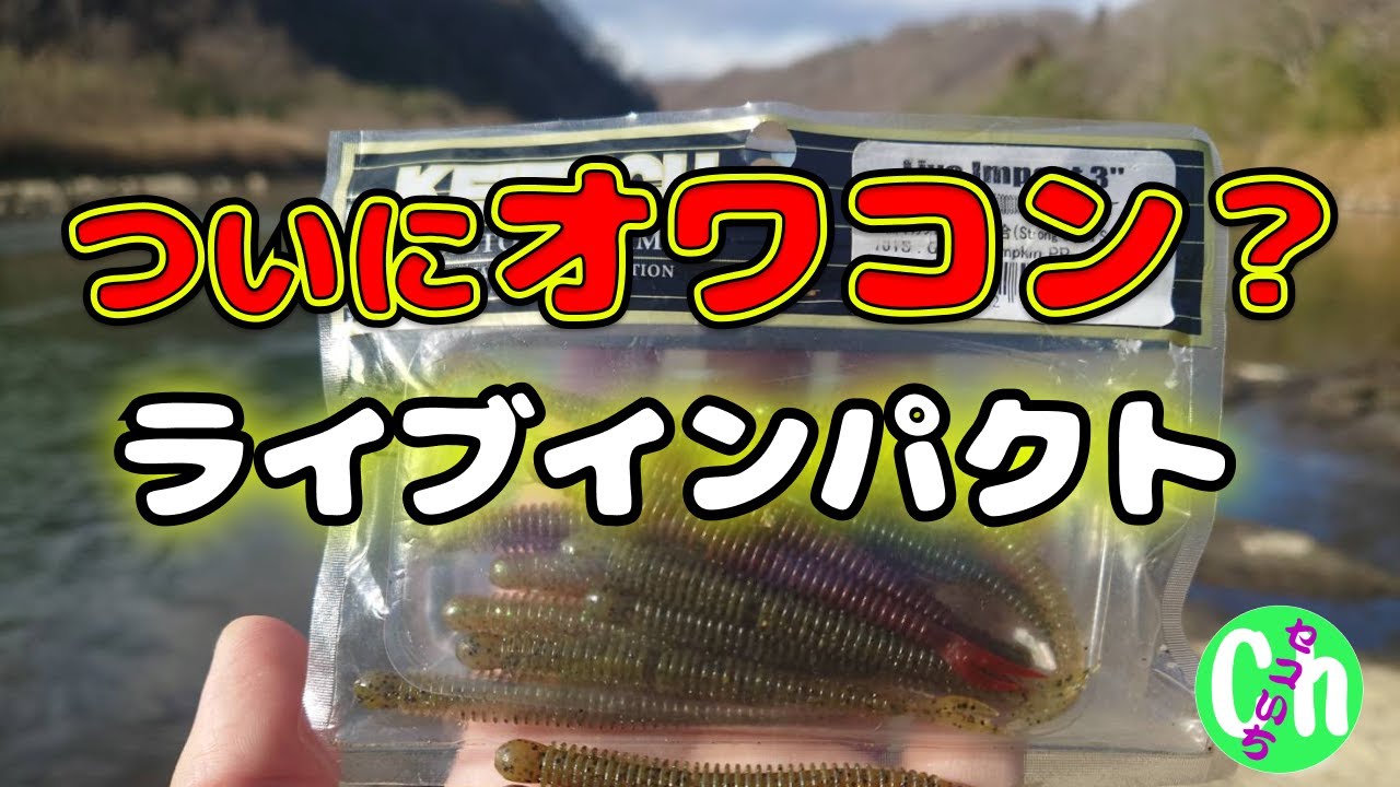 【ライブインパクト】はオワコンなのか？【ダウンショット】【低水温】【真冬】【バス釣り】【川スモール】【テキサス】【Black bass】