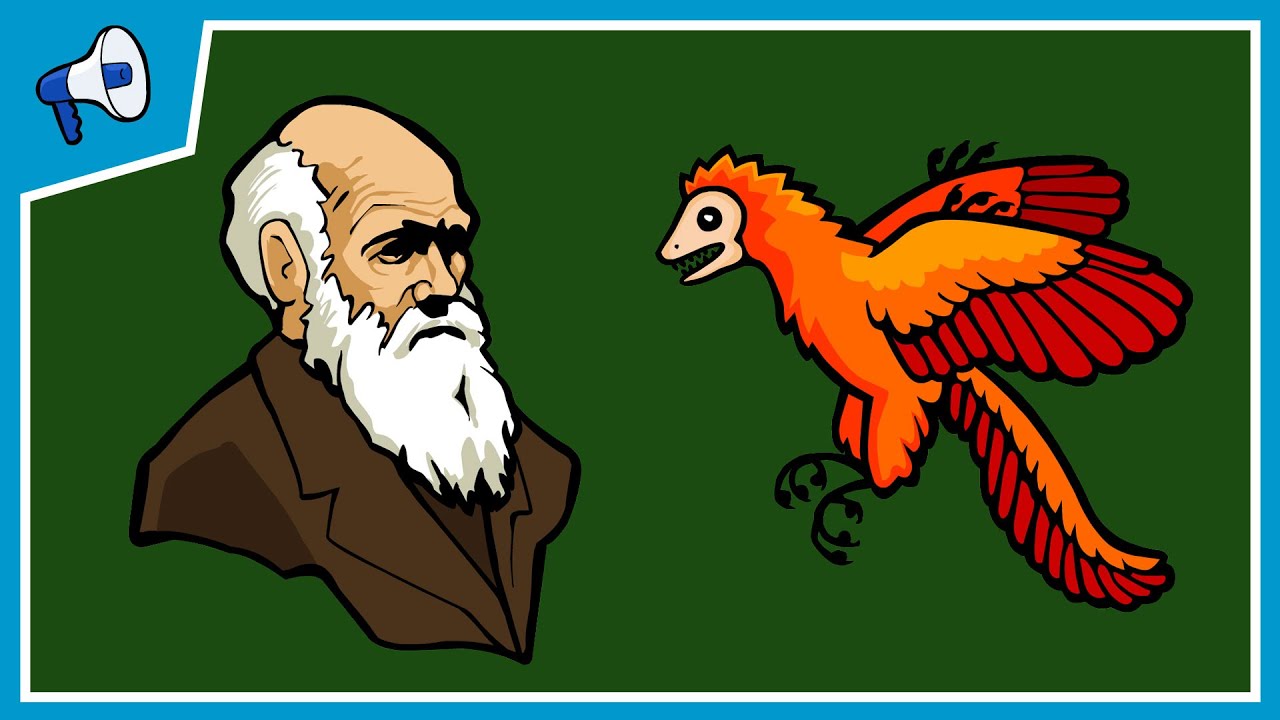 What is Evolution?
