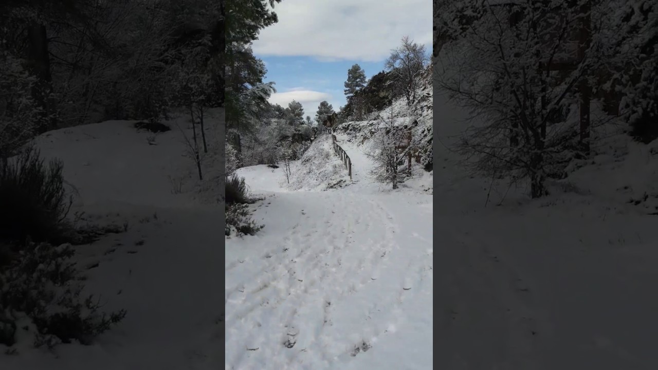 Nev&agrave; 18/01/2017