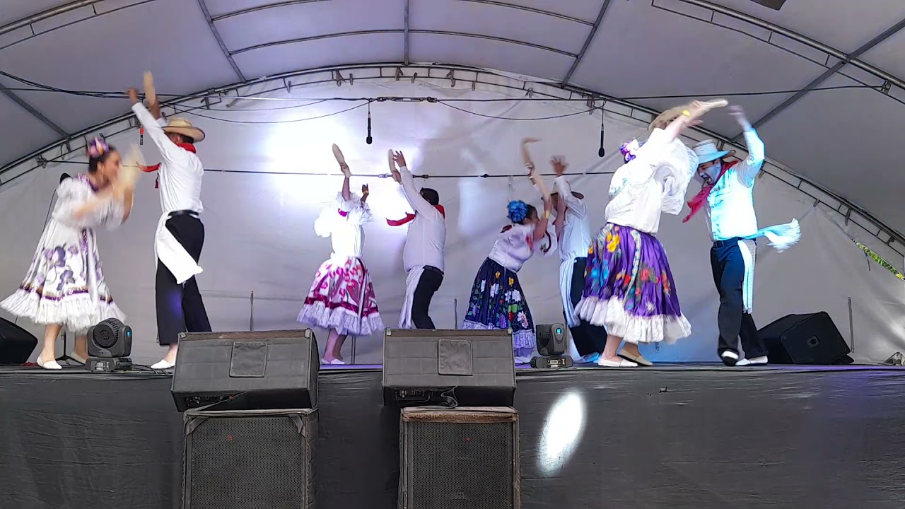 El estropajo