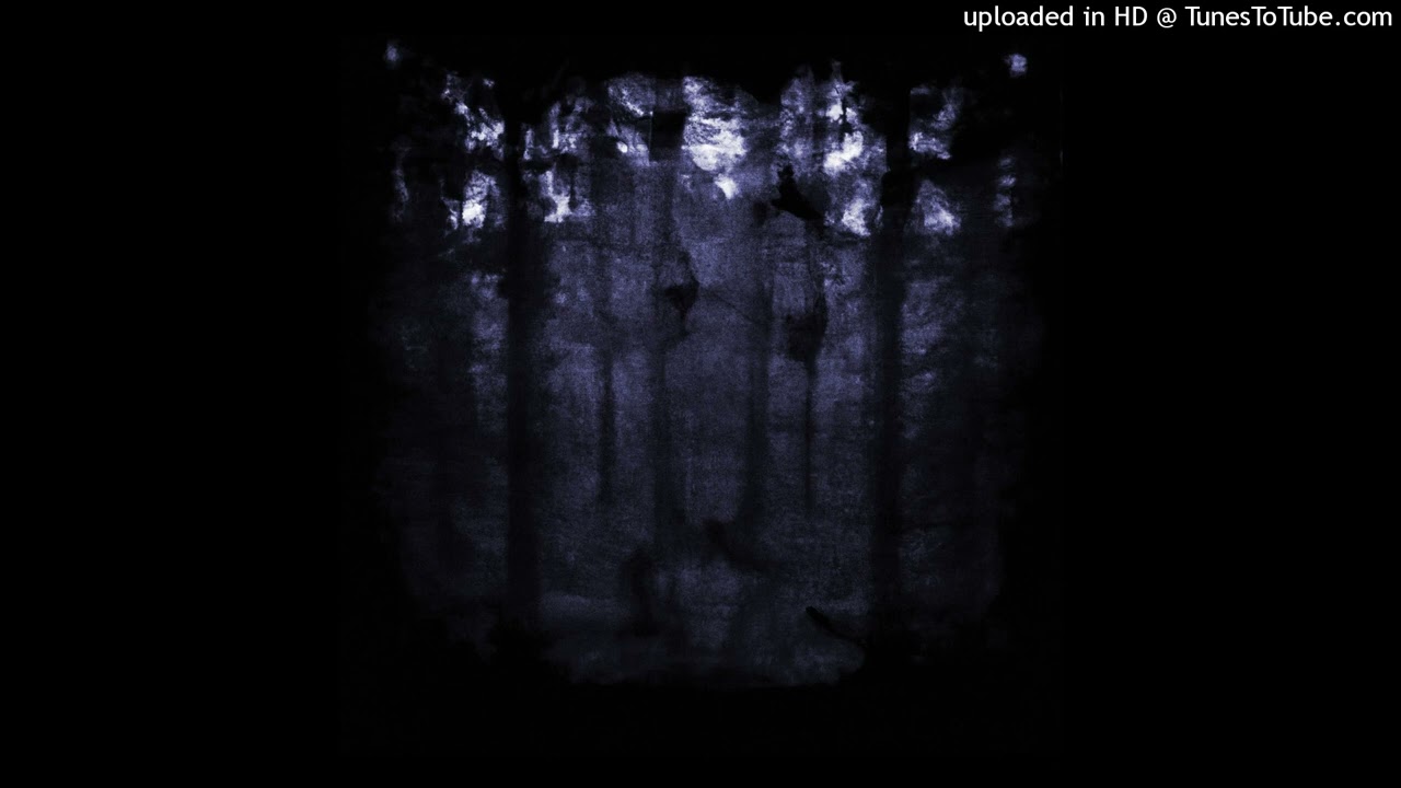 #initiative 146 fmin @1prod.aleex [ambient, digital]