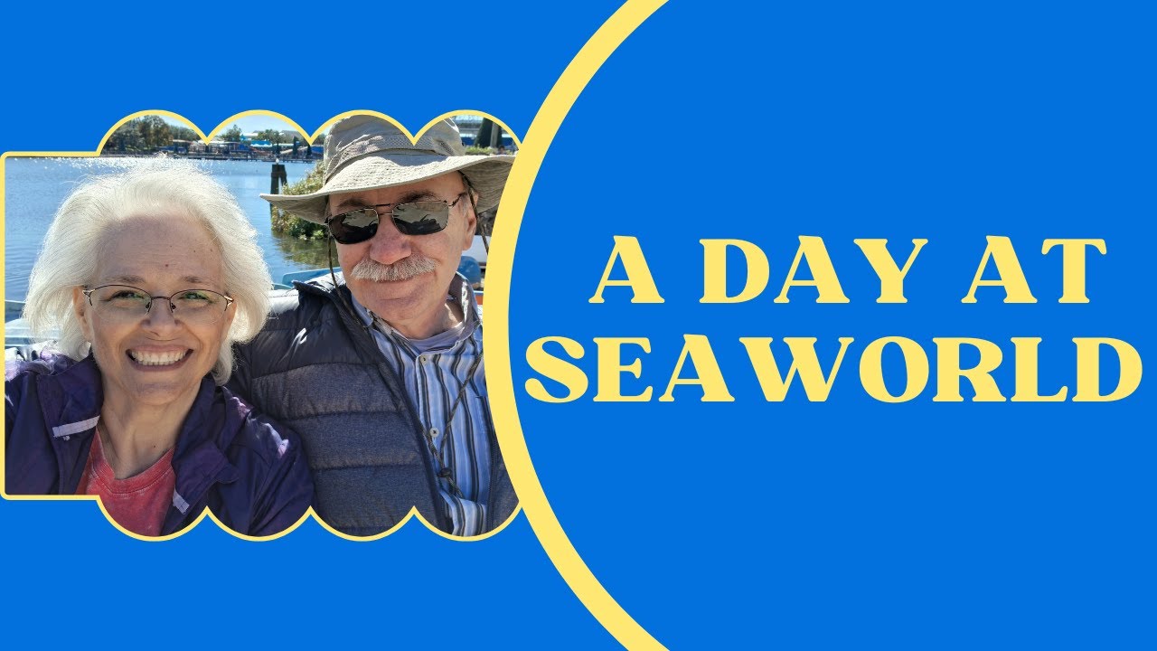SeaWorld Vacation Montage | Family Fun, Dolphins, Shows & Memories!
