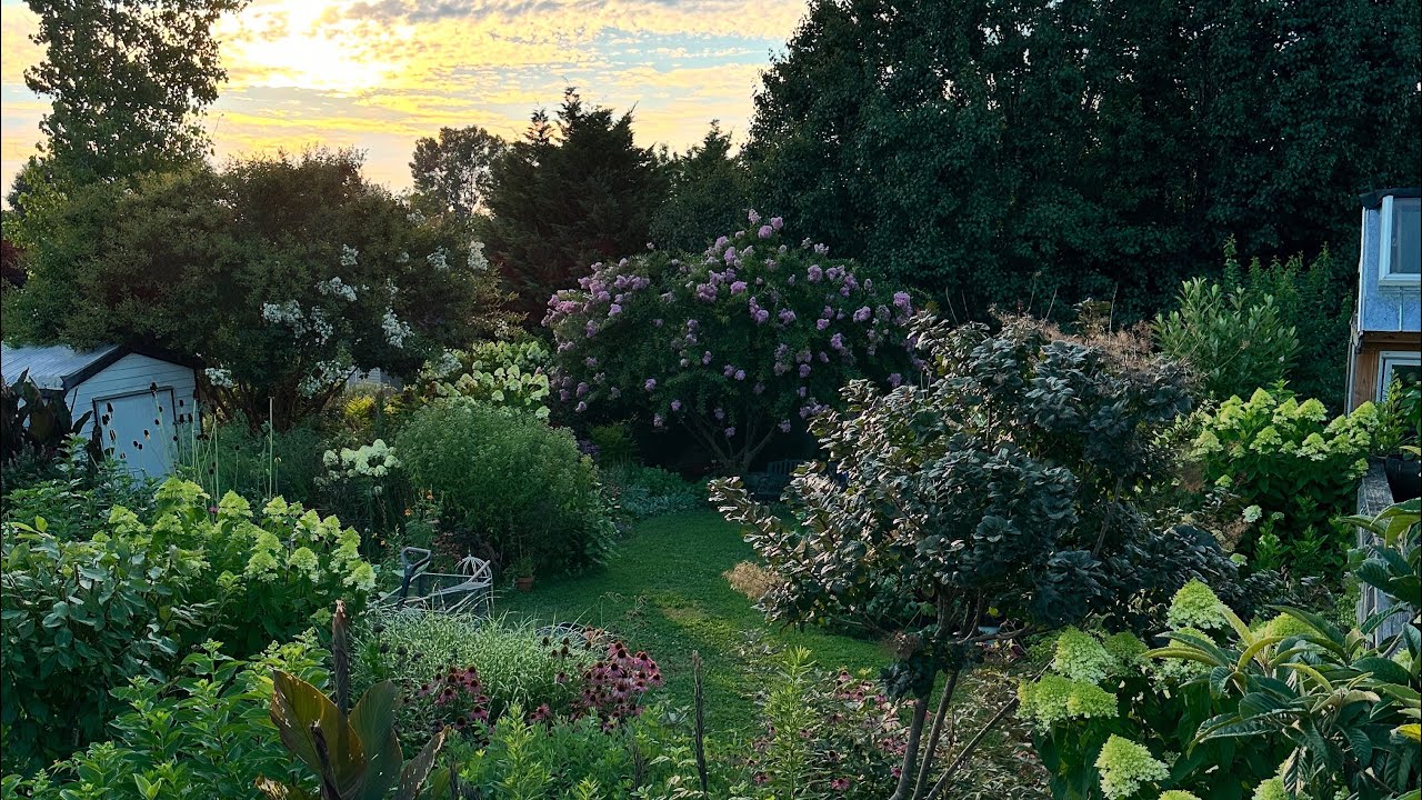 🌺🌱 WOW! July Garden Tour 🤫 Silent Cottage Garden Tour