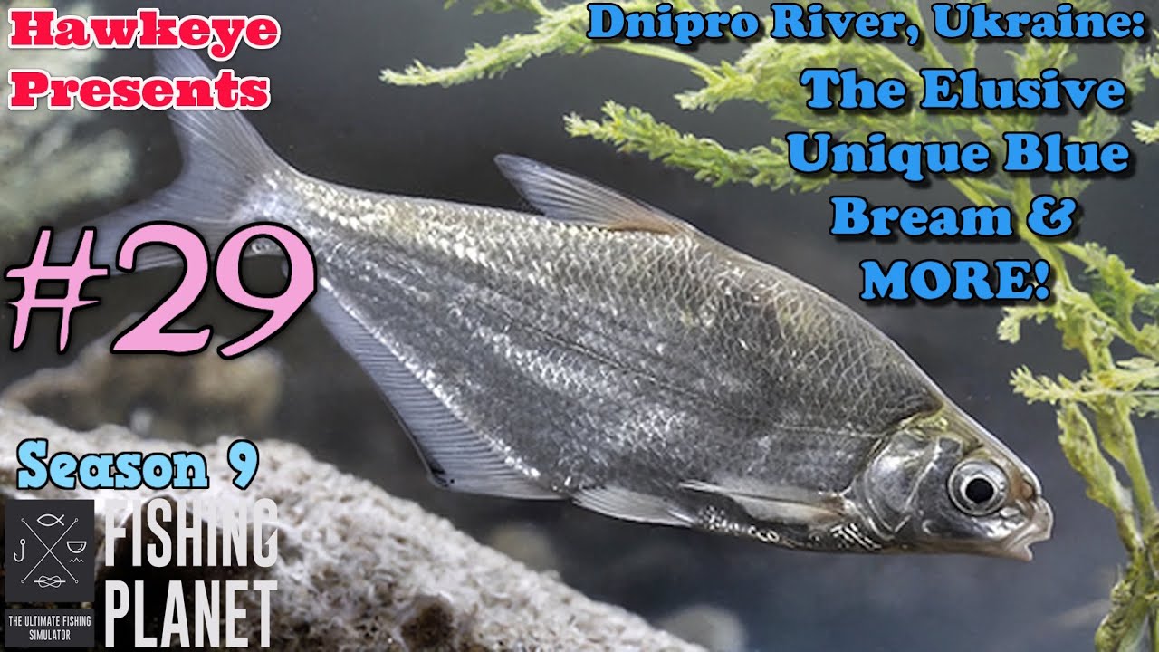 Fishing Planet S9 #29 - Dnipro River, Ukraine: The Elusive Unique Blue Bream & MORE!