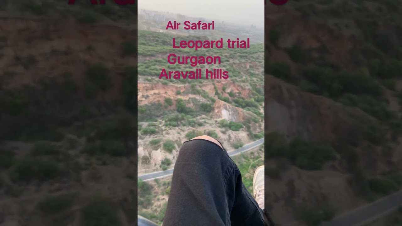 Aravali hills mein dikha leopard 🐆 very dangerous