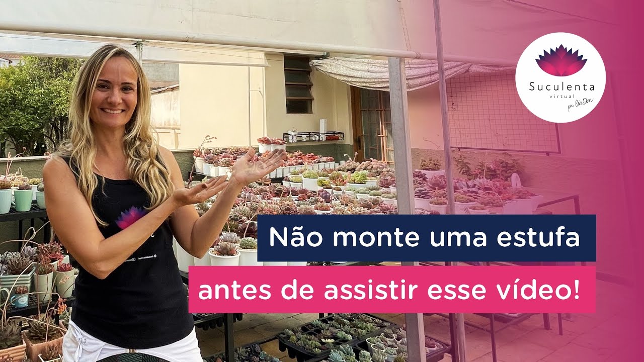 Episódio 54 - Estufa para suculentas. O que você precisa saber antes de fazer a sua