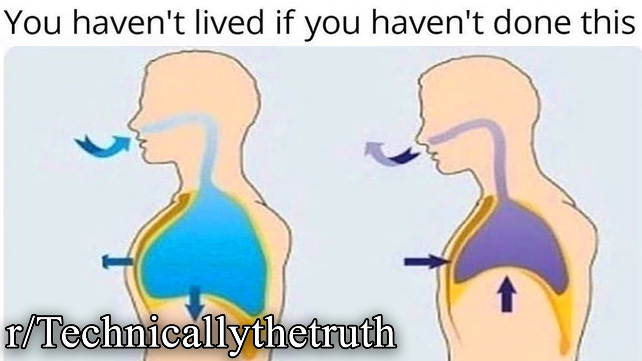 r/Technicallythetruth | memes that make you breathe