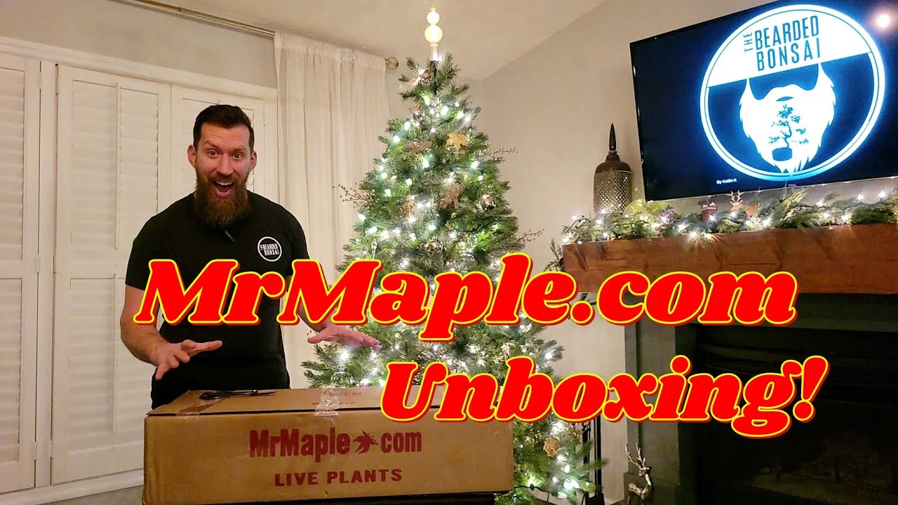 MrMaple.com Unboxing of Japanese Maples!