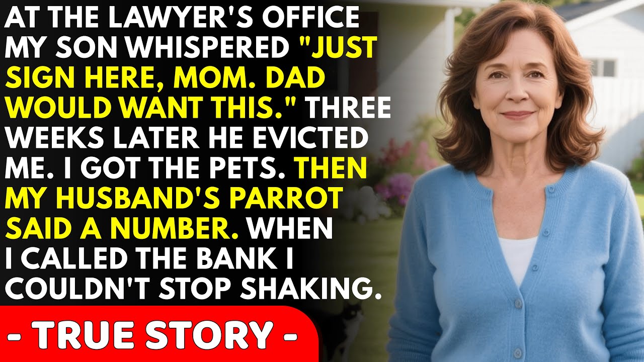 My son said, 