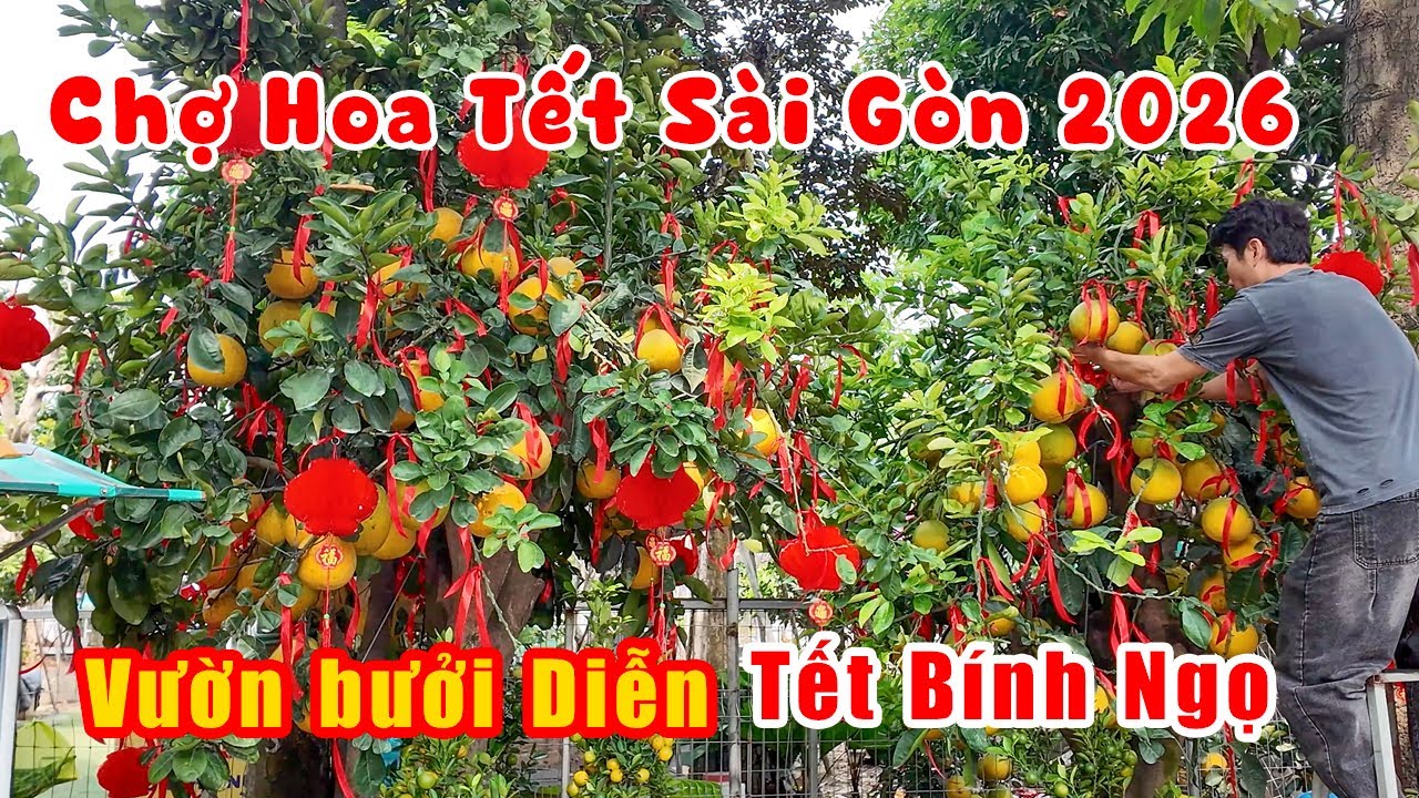 Chợ Hoa Tết Sài Gòn năm 2026 l Cận cảnh Vườn Bưởi Diễn Bạc Tỷ vàng rực đón TẾT năm Bính Ngọ