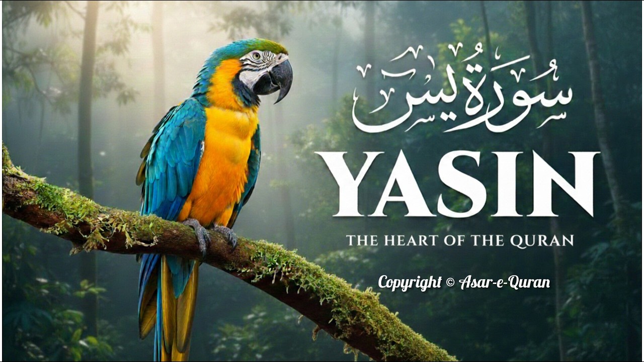 Surah Yaseen سورة يس | Soothing & Beautiful Recitation for Inner Peace by Alaa Aqel | Zikrullah