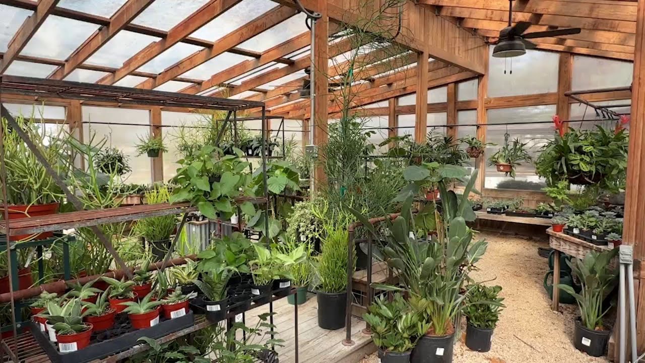 Beloved San Antonio plant nursery closing, owners transforming property into free community garden