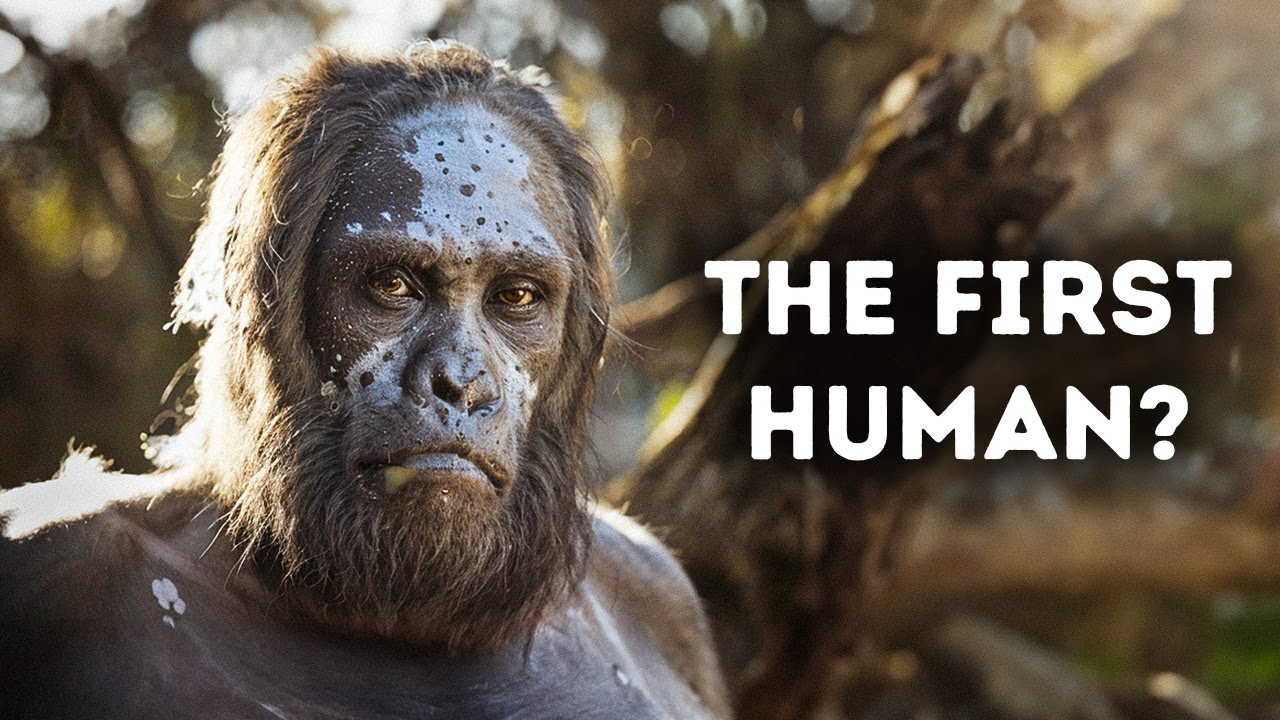 Evolution of Humans Documentary
