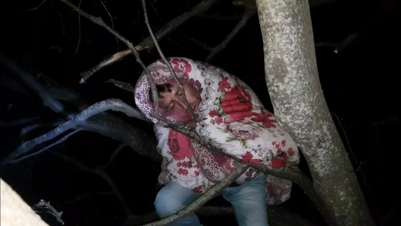 Am dormit in pădure! Zgomote ciudate .